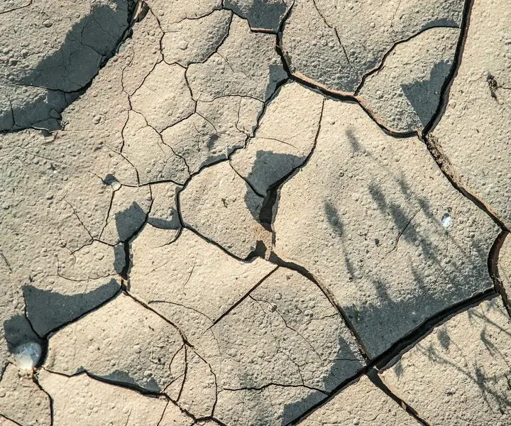 Before - Driveway Concrete Replacement